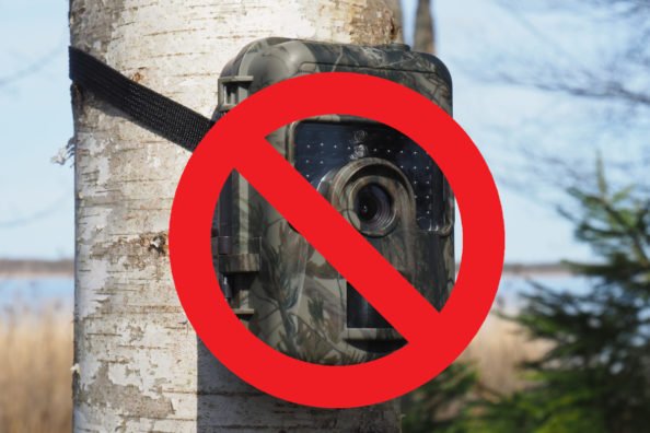 Arizona Finalizes Complete Trail Camera Ban Starting in 2022