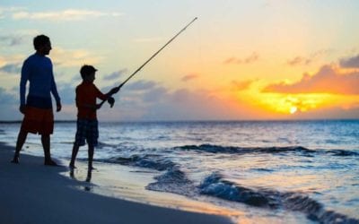 Best Saltwater Fishing Gear for Beginners of 2021: Affordable & High-Quality