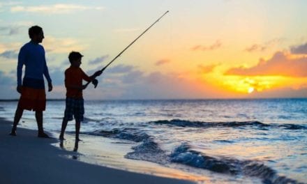 Best Saltwater Fishing Gear for Beginners of 2021: Affordable & High-Quality