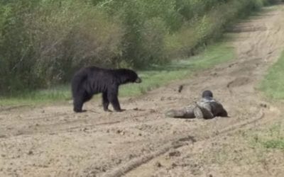 Black Bear Hunt Presents Wildly Close Encounter