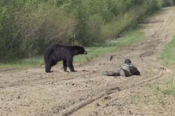 Black Bear Hunt Presents Wildly Close Encounter