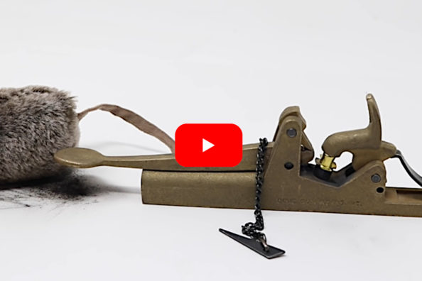 Black Powder Cannon Mouse Trap from 1862 Packs Quite the Punch