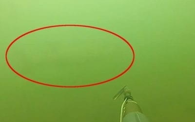 Fast Action Helps Spearfisherman Limit Out on Walleye in 10 Minutes