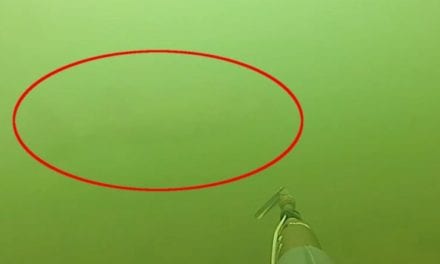 Fast Action Helps Spearfisherman Limit Out on Walleye in 10 Minutes