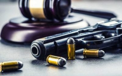 Gathering the Facts About Gun Control Laws in America