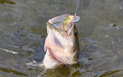 How to Catch Fish When You’re Getting Skunked Non-Stop