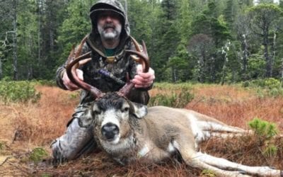 How to Hunt Blacktail Deer