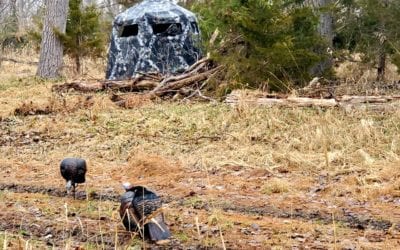 Hunting Turkeys in Foul Weather