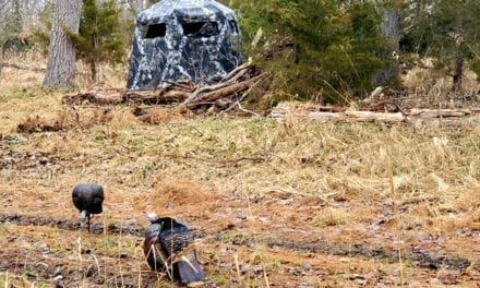 Hunting Turkeys in Foul Weather