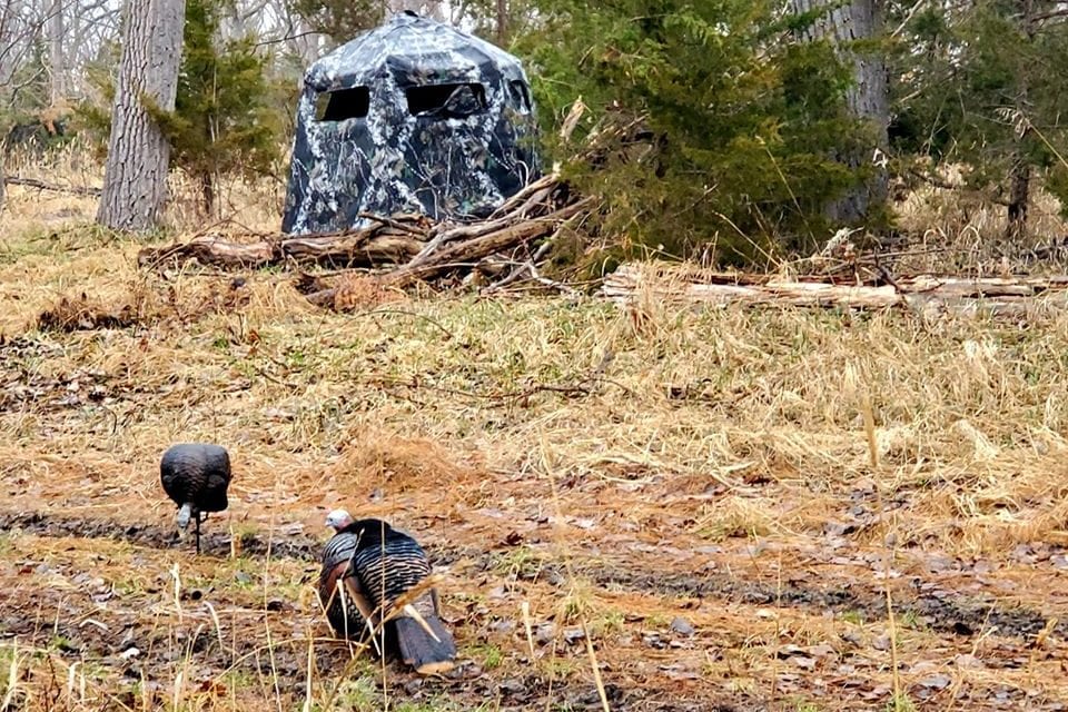 Hunting Turkeys in Foul Weather