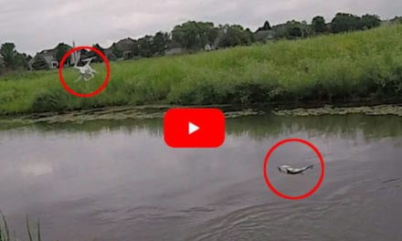 Largemouth Bass Causes Hilarious and Expensive Drone Fishing Mistake