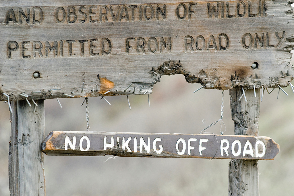 Image of a national parks safety sign in Denali National Park prohibiting hiking off road.