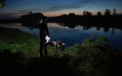 Night Fishing: Tips and Pointers for Capturing the Moonlight Bite