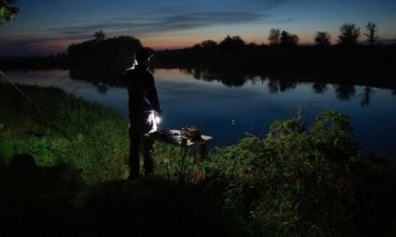 Night Fishing: Tips and Pointers for Capturing the Moonlight Bite