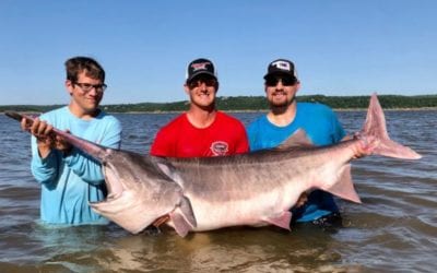 Oklahoma Produces New World Record Paddlefish For the Second Year in a Row