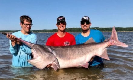 Oklahoma Produces New World Record Paddlefish For the Second Year in a Row