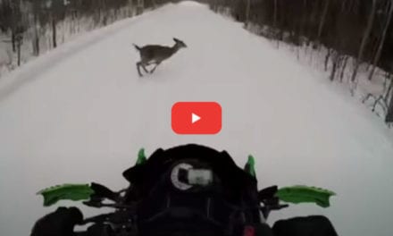 Snowmobile Collides With Running Deer