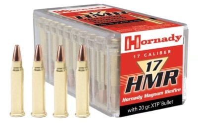 The .17 HMR Rifle Cartridge: All the Details You Ought to Know