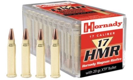 The .17 HMR Rifle Cartridge: All the Details You Ought to Know