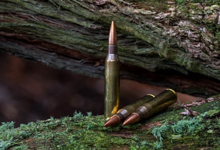 The Ammunition Almanac: A Beginner’s Guide to Bullets