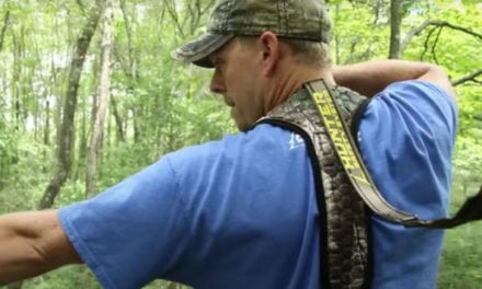 Treestand Harness: What It Is, What It Does and a Few Suggestions