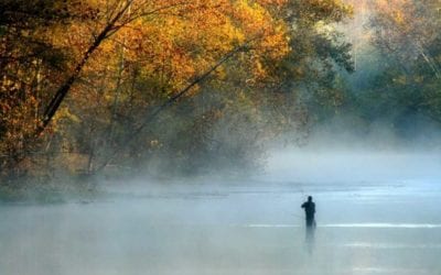 Trout Fishing in Missouri: Where and When to Take Advantage of This State’s Great Fisheries
