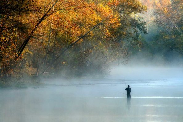 Trout Fishing in Missouri: Where and When to Take Advantage of This State’s Great Fisheries