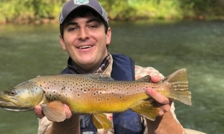 VIRGINIA: 8 Trout Stream Destinations to Try in 2021