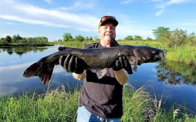 Why Wear Rubber Gloves When Handling Fish?
