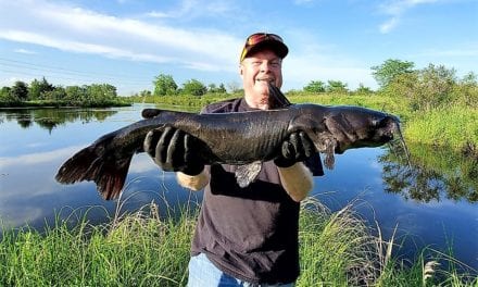 Why Wear Rubber Gloves When Handling Fish?