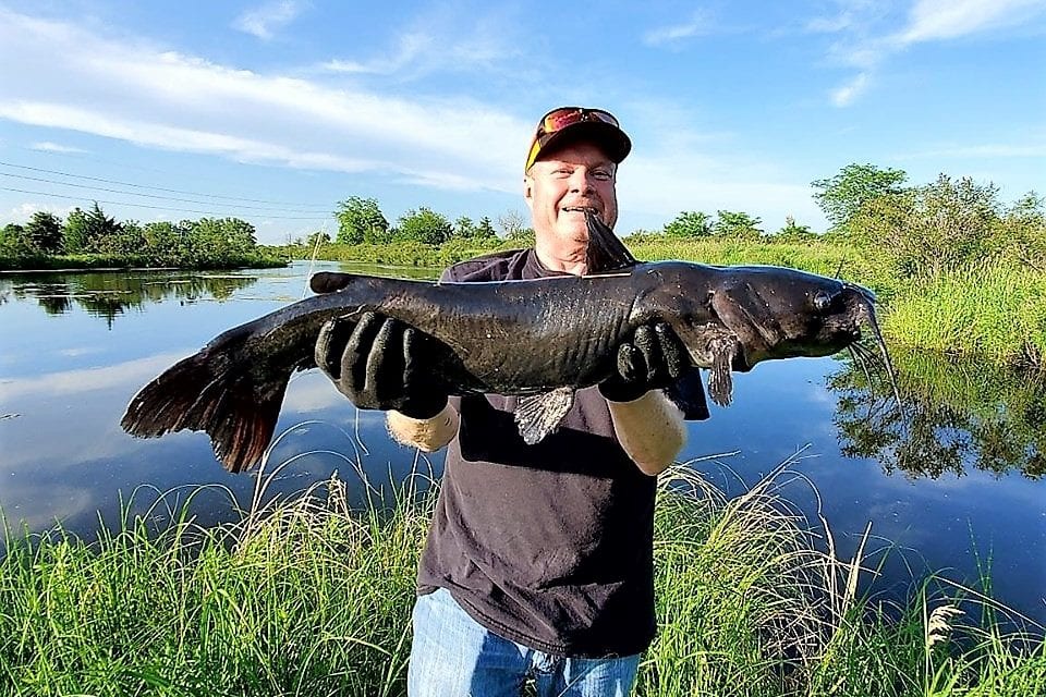 Why Wear Rubber Gloves When Handling Fish?