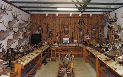 10 Hunting Museums You Need to Add to Your Bucket List