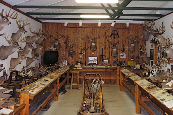 10 Hunting Museums You Need to Add to Your Bucket List