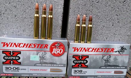 .308 vs .30-06: Which Round is Better, and for What Uses?