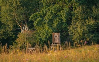 4 Pieces of Lawn Care Equipment That’ll Serve You Well Prepping Your Hunting Property