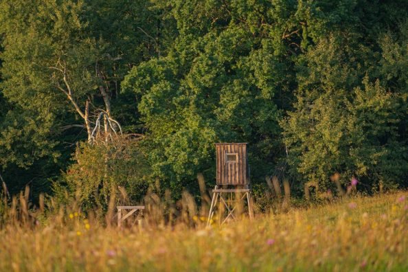 4 Pieces of Lawn Care Equipment That’ll Serve You Well Prepping Your Hunting Property