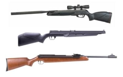 5 Best Pellet Gun for Squirrels and Other Varmints