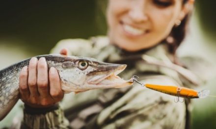 5 Best Women’s Fishing Shirts of 2021: Sweat-Wicking, Stylish, and More