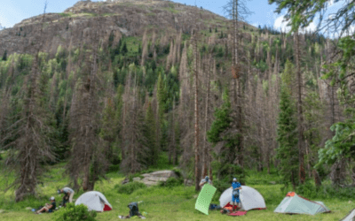 6 Best UST Camping Products of 2021 for Cooking, Survival + More