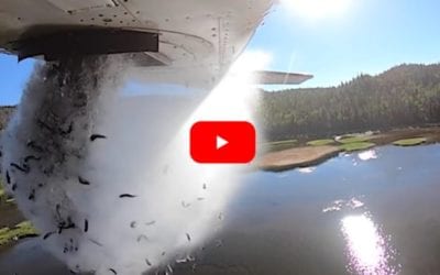 Aerial Fish Stocking Helps Utah DWR Populate High Elevation Mountain Lakes