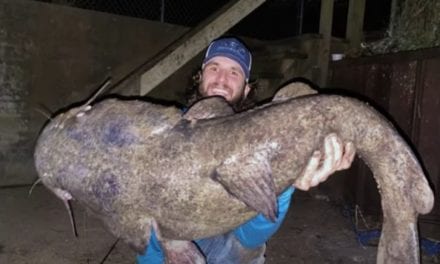 All the Kinds of Freshwater Catfish You Can Catch in America