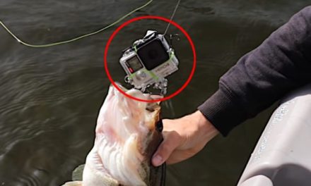 Angler Rigs GoPro As a Fishing Lure and Catches a Bass On It