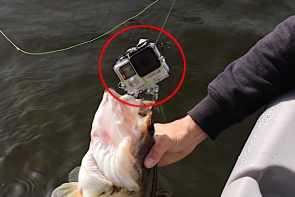 Angler Rigs GoPro As a Fishing Lure and Catches a Bass On It