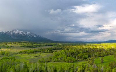 At Home On The Range