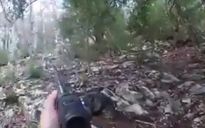 Avalanche of Wild Hogs Catches Hunters by Surprise