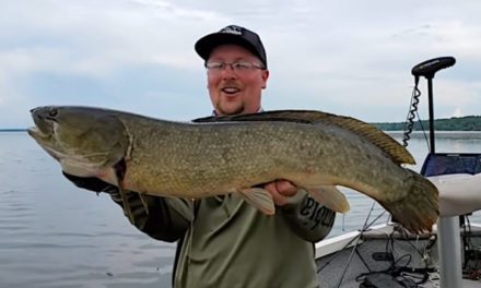 Bowfin Fishing Makes For Fast Action When Other Species Are Not Biting