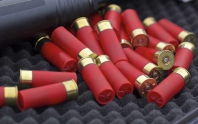Buckshot vs. Birdshot: A Total Newbie’s Guide