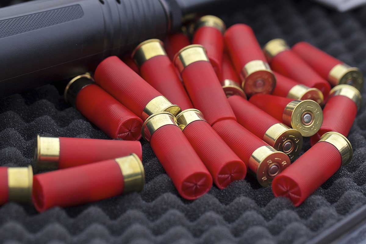 Buckshot vs. Birdshot: A Total Newbie's Guide - Outdoor Enthusiast ...