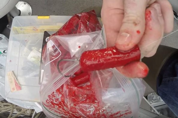 Create Your Own Catfish Bait Using Hot Dogs and Jello