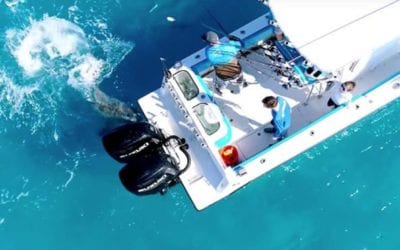 Drone Captures Crazy Boat Attack By Angry Bull Shark